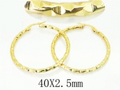 HY Wholesale Earrings 316L Stainless Steel Popular Jewelry Earrings-HY60E1482ILC