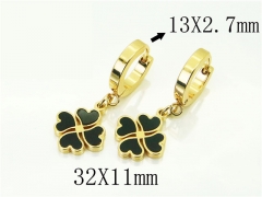 HY Wholesale Earrings 316L Stainless Steel Popular Jewelry Earrings-HY60E1385JLR