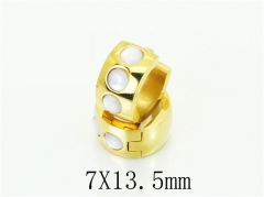 HY Wholesale Earrings 316L Stainless Steel Popular Jewelry Earrings-HY05E2084HHV