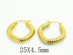 HY Wholesale Earrings 316L Stainless Steel Popular Jewelry Earrings-HY48E0062HZZ