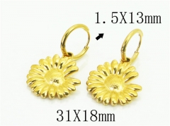 HY Wholesale Earrings 316L Stainless Steel Popular Jewelry Earrings-HY48E0065HQQ