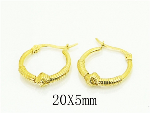 HY Wholesale Earrings 316L Stainless Steel Popular Jewelry Earrings-HY48E0063HAA
