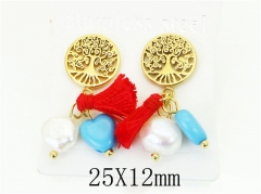 HY Wholesale Earrings 316L Stainless Steel Popular Jewelry Earrings-HY90E0384HHF