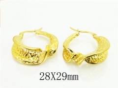 HY Wholesale Earrings 316L Stainless Steel Popular Jewelry Earrings-HY48E0051HEE