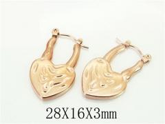 HY Wholesale Earrings 316L Stainless Steel Popular Jewelry Earrings-HY70E1359LQ