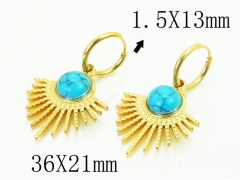 HY Wholesale Earrings 316L Stainless Steel Popular Jewelry Earrings-HY48E0066HHE