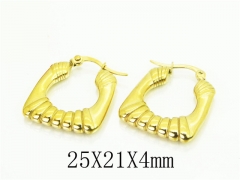 HY Wholesale Earrings 316L Stainless Steel Popular Jewelry Earrings-HY48E0061HXX