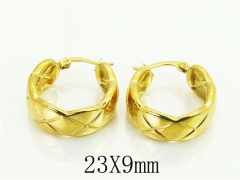 HY Wholesale Earrings 316L Stainless Steel Popular Jewelry Earrings-HY48E0050HFF