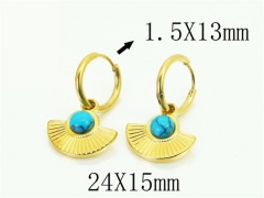 HY Wholesale Earrings 316L Stainless Steel Popular Jewelry Earrings-HY48E0068HHT
