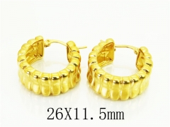 HY Wholesale Earrings 316L Stainless Steel Popular Jewelry Earrings-HY48E0049HVV