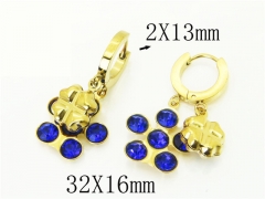 HY Wholesale Earrings 316L Stainless Steel Popular Jewelry Earrings-HY43E0615MS