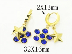 HY Wholesale Earrings 316L Stainless Steel Popular Jewelry Earrings-HY43E0605MV