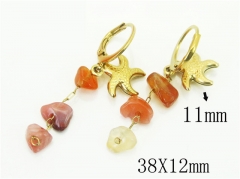 HY Wholesale Earrings 316L Stainless Steel Popular Jewelry Earrings-HY43E0517MV
