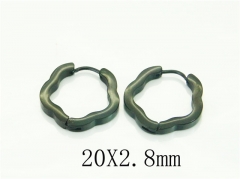 HY Wholesale Earrings 316L Stainless Steel Popular Jewelry Earrings-HY75E0173KW