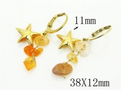 HY Wholesale Earrings 316L Stainless Steel Popular Jewelry Earrings-HY43E0509MD