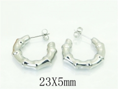 HY Wholesale Earrings 316L Stainless Steel Popular Jewelry Earrings-HY16E0195NS