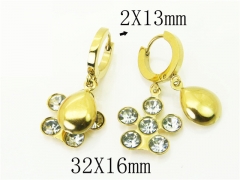 HY Wholesale Earrings 316L Stainless Steel Popular Jewelry Earrings-HY43E0616MF