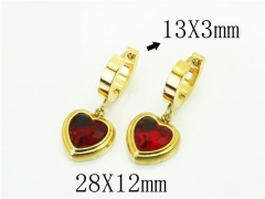 HY Wholesale Earrings 316L Stainless Steel Popular Jewelry Earrings-HY80E0824XML