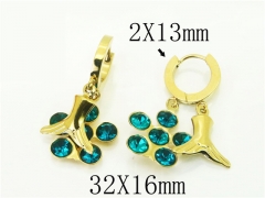 HY Wholesale Earrings 316L Stainless Steel Popular Jewelry Earrings-HY43E0579MR