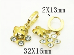 HY Wholesale Earrings 316L Stainless Steel Popular Jewelry Earrings-HY43E0606MB