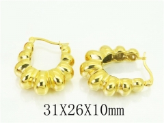 HY Wholesale Earrings 316L Stainless Steel Popular Jewelry Earrings-HY16E0239OA