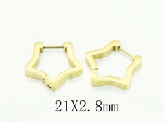 HY Wholesale Earrings 316L Stainless Steel Popular Jewelry Earrings-HY75E0106KT