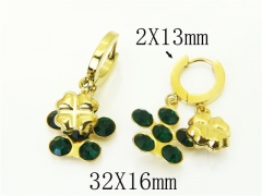 HY Wholesale Earrings 316L Stainless Steel Popular Jewelry Earrings-HY43E0613ME
