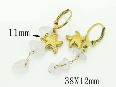 HY Wholesale Earrings 316L Stainless Steel Popular Jewelry Earrings-HY43E0518MX