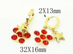 HY Wholesale Earrings 316L Stainless Steel Popular Jewelry Earrings-HY43E0597MW