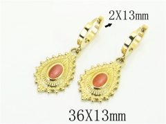 HY Wholesale Earrings 316L Stainless Steel Popular Jewelry Earrings-HY43E0540OS