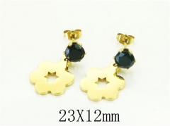 HY Wholesale Earrings 316L Stainless Steel Popular Jewelry Earrings-HY43E0659KG