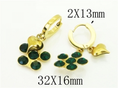 HY Wholesale Earrings 316L Stainless Steel Popular Jewelry Earrings-HY43E0583MF