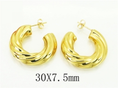 HY Wholesale Earrings 316L Stainless Steel Popular Jewelry Earrings-HY30E1563HSS