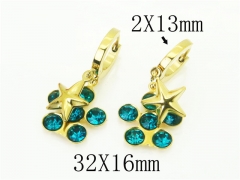 HY Wholesale Earrings 316L Stainless Steel Popular Jewelry Earrings-HY43E0594MU