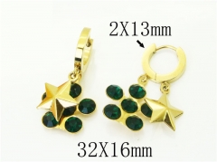 HY Wholesale Earrings 316L Stainless Steel Popular Jewelry Earrings-HY43E0603MD