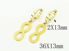 HY Wholesale Earrings 316L Stainless Steel Popular Jewelry Earrings-HY43E0560LX