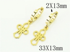 HY Wholesale Earrings 316L Stainless Steel Popular Jewelry Earrings-HY43E0557LY