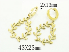 HY Wholesale Earrings 316L Stainless Steel Popular Jewelry Earrings-HY43E0547NE