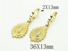 HY Wholesale Earrings 316L Stainless Steel Popular Jewelry Earrings-HY43E0541OD
