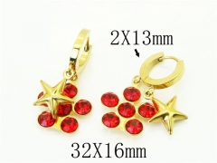 HY Wholesale Earrings 316L Stainless Steel Popular Jewelry Earrings-HY43E0592MT