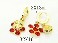HY Wholesale Earrings 316L Stainless Steel Popular Jewelry Earrings-HY43E0612MR