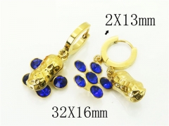 HY Wholesale Earrings 316L Stainless Steel Popular Jewelry Earrings-HY43E0623MR