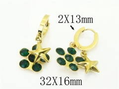 HY Wholesale Earrings 316L Stainless Steel Popular Jewelry Earrings-HY43E0593MY