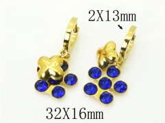 HY Wholesale Earrings 316L Stainless Steel Popular Jewelry Earrings-HY43E0610MS