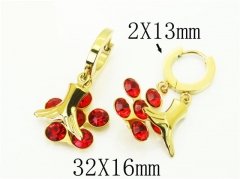 HY Wholesale Earrings 316L Stainless Steel Popular Jewelry Earrings-HY43E0577MW