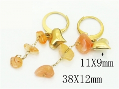 HY Wholesale Earrings 316L Stainless Steel Popular Jewelry Earrings-HY43E0512MU