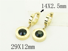 HY Wholesale Earrings 316L Stainless Steel Popular Jewelry Earrings-HY24E0114PO