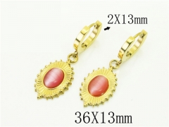 HY Wholesale Earrings 316L Stainless Steel Popular Jewelry Earrings-HY43E0538OZ