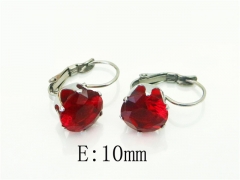 HY Wholesale Earrings 316L Stainless Steel Popular Jewelry Earrings-HY21E0159AIN