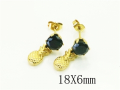 HY Wholesale Earrings 316L Stainless Steel Popular Jewelry Earrings-HY43E0658KT